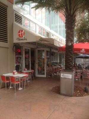 Hibachi Grill & Noodle Bar