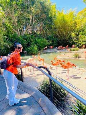 San Diego Zoo Sandwich Company