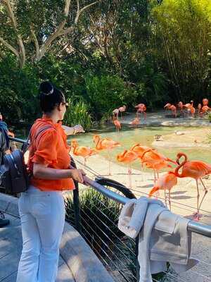 San Diego Zoo Sandwich Company