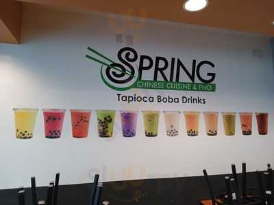 Spring Chinese Cuisine And Pho