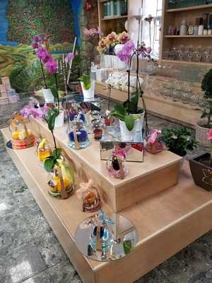 Cherry Hill Market And Cafe