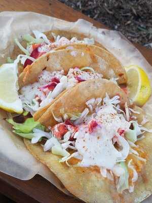 Wicked Maine Lobster