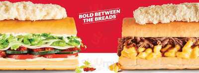 Erbert And Gerbert's Subs