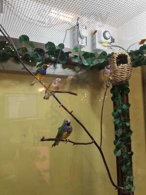 The Southern Gourmet