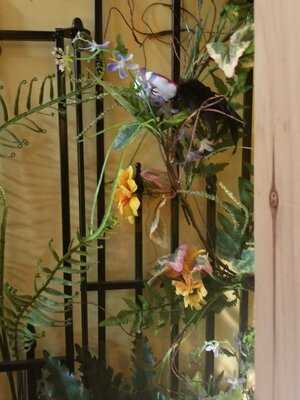 The Southern Gourmet