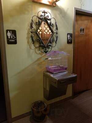 The Southern Gourmet