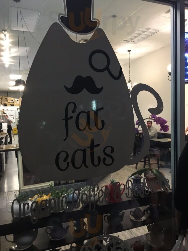 Fat Cats: Organic Coffee & Desserts