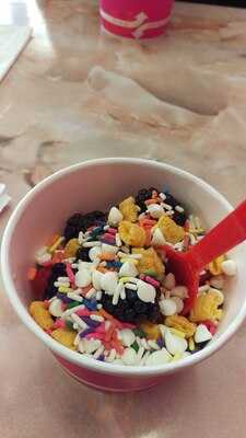 Happy Berry Frozen Yogurt