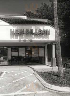 New Dragon