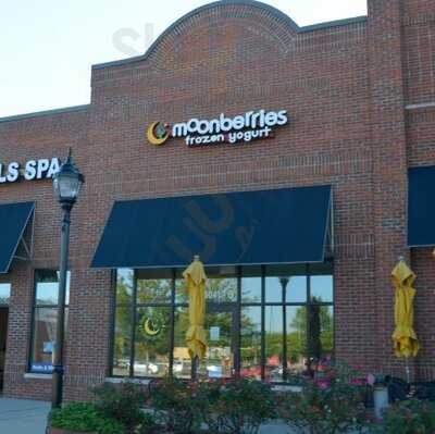 Moonberries Frozen Yogurt