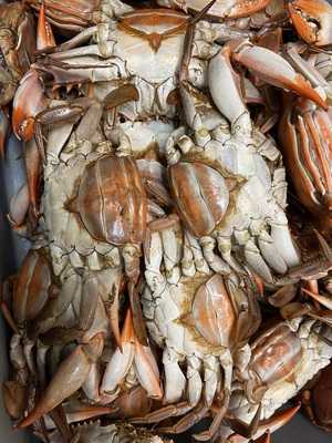 Tony's Super Cajun Seafood