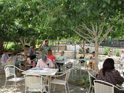 Rosella At The Garden
