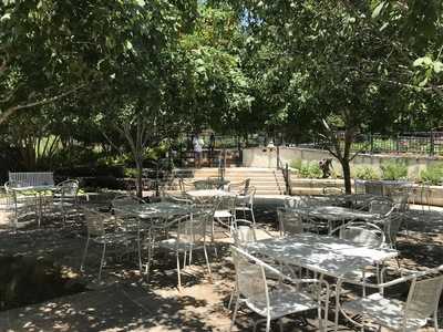 Rosella At The Garden