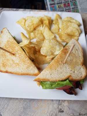 Rosella At The Garden