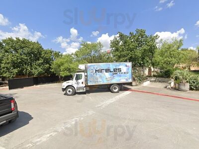 Rosella At The Garden