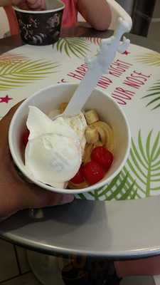 Menchie's Frozen Yogurt