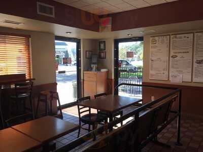 The Healthy Bagel Company