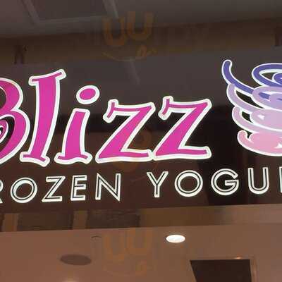 Blizz Frozen Yogurt