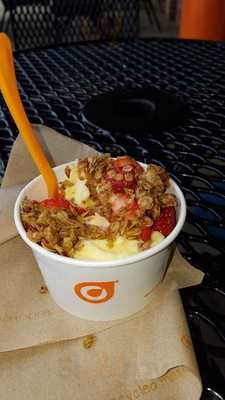 Orange Leaf Frozen Yogurt
