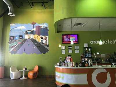 Orange Leaf Frozen Yogurt