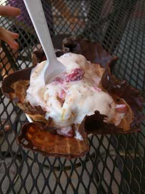 Marble Slab Creamery Inc