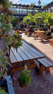 San Francisco Brewing Co.