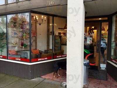 Nectar Frozen Yogurt Lounge