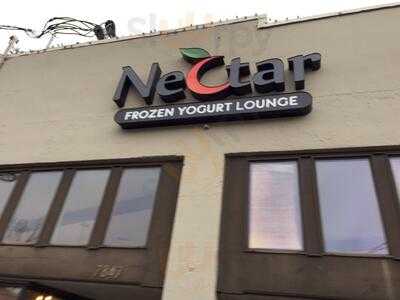 Nectar Frozen Yogurt Lounge