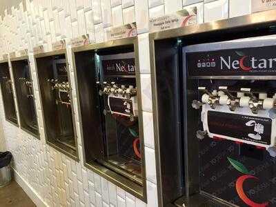 Nectar Frozen Yogurt Lounge