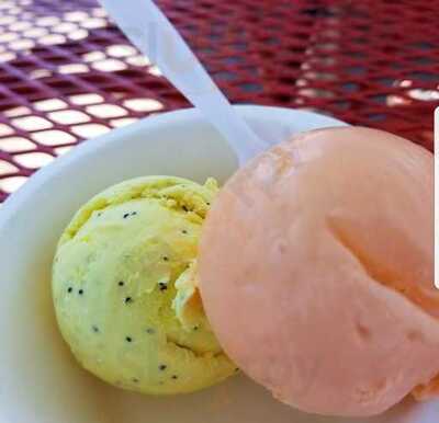 Hurry Back Ice Cream