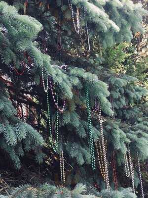 Brewriver Creole Kitchen