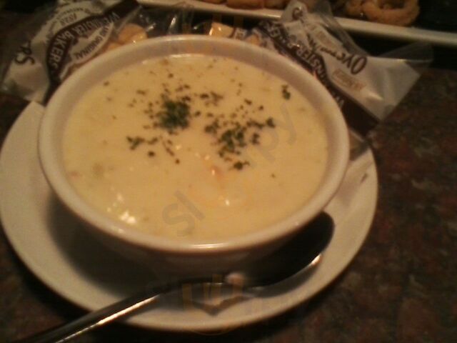 Shucks Tavern And Oyster Bar