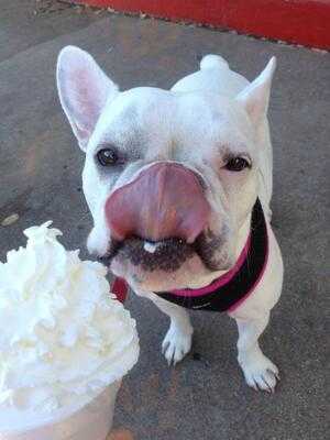 Sweet Caroline's Snow Shack 183 North