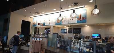 Caribou & Einstein Bros.