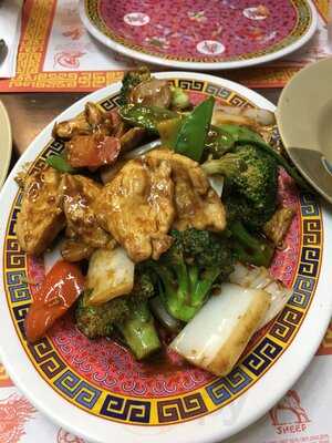 New Canton Chinese Restaurant