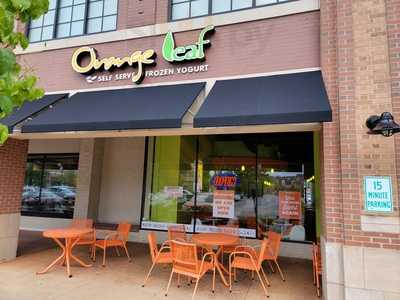 Orange Leaf Frozen Yogurt