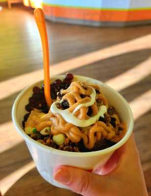 Orange Leaf Frozen Yogurt