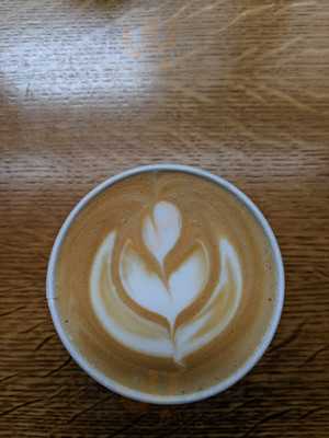 Water Avenue Coffee Downtown