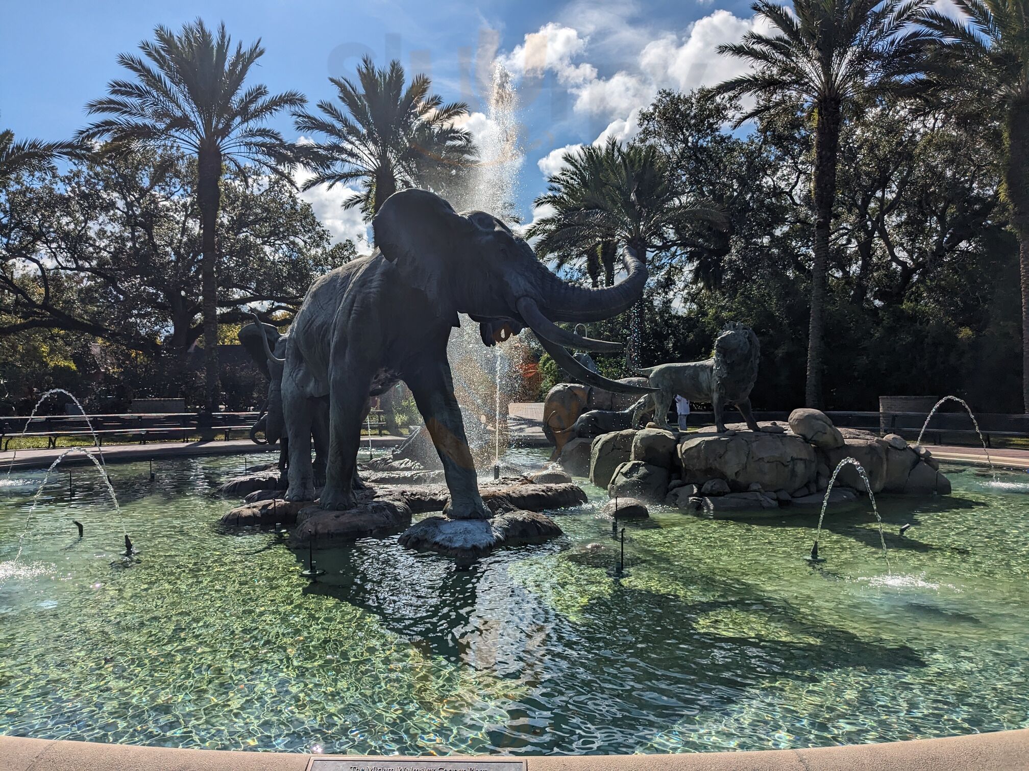 Lazy River - Southern Fare & Spirits