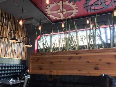 Spoke & Bird Cafe (south Loop)