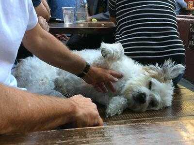 Foto 58122384