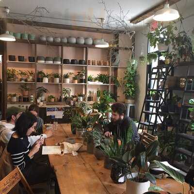 Stonefruit Espresso + Kitchen