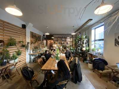 Stonefruit Espresso + Kitchen