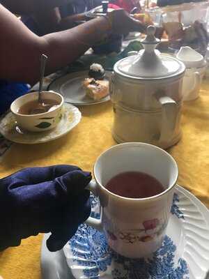 Dr. Bombay's Underwater Tea Party