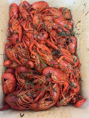 Boiling Pot At Gentilly