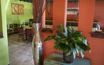 Thai Classic Cuisine