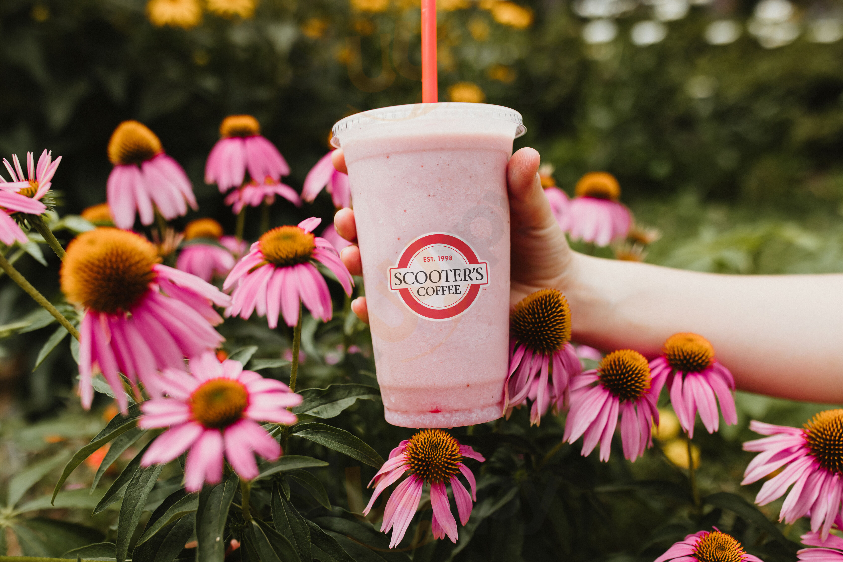 Scooter's Coffeehouse