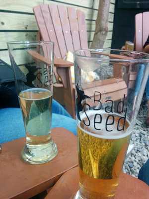 Bad Seed Taproom