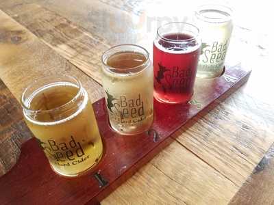 Bad Seed Taproom