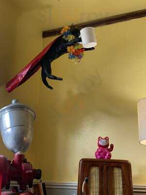 Flying Cat Coffee